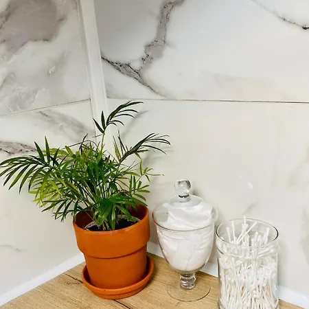 L'hortensia Saint Aubin Apartman Toulouse