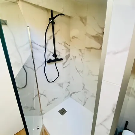 L'hortensia Saint Aubin * Toulouse