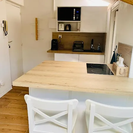 L'hortensia Saint Aubin * 圖盧茲