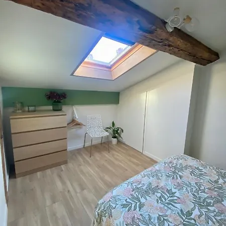 L'hortensia Saint Aubin Apartman Toulouse