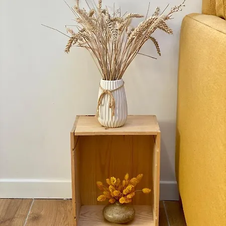 L'hortensia Saint Aubin Τουλούζη