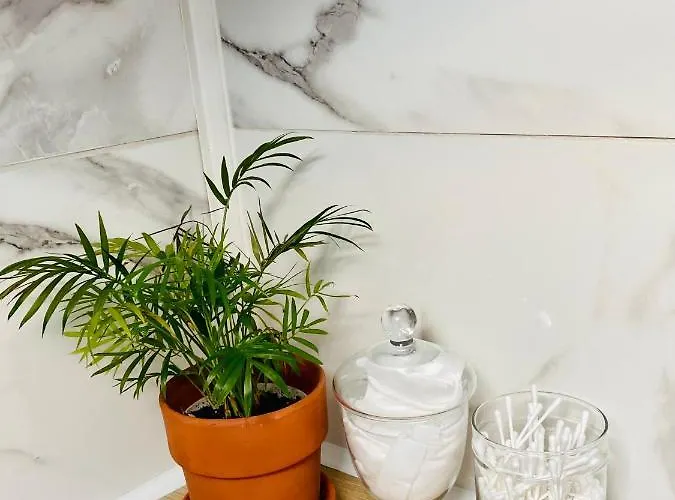 L'hortensia Saint Aubin Apartamento Toulouse