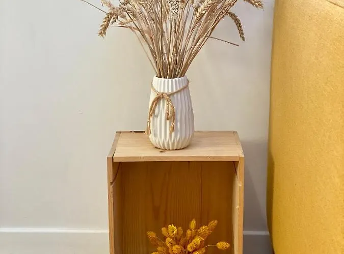 L'hortensia Saint Aubin Toulouse