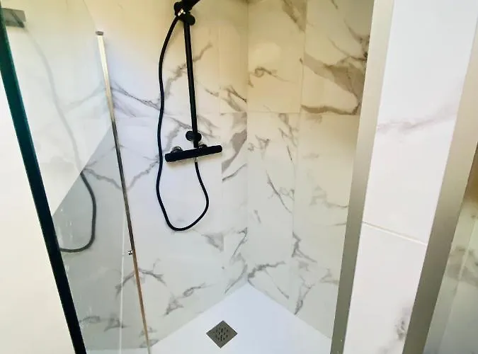 L'hortensia Saint Aubin * Toulouse