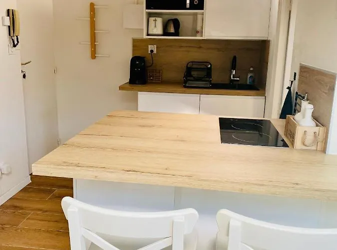 L'hortensia Saint Aubin * Toulouse