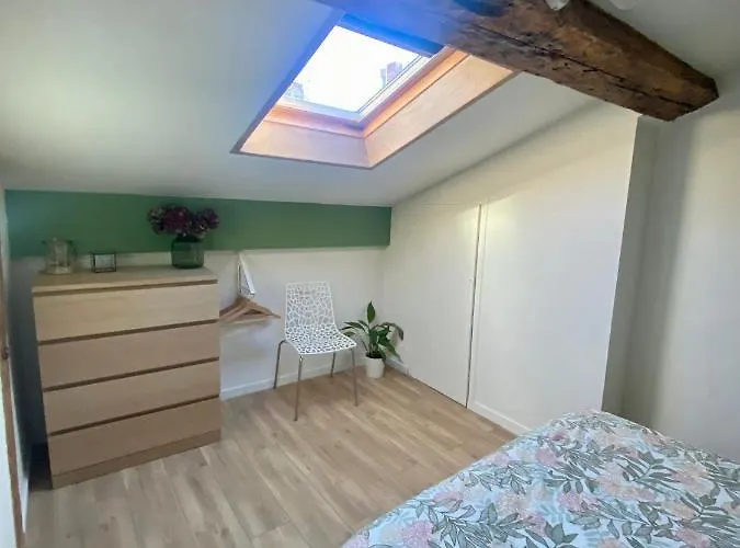 L'hortensia Saint Aubin Apartamento Toulouse